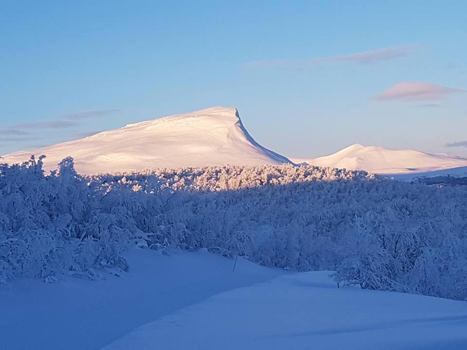 Bruksvallarna - Modern Fjaellstuga Med Panoramautsikt Och Wifi 외부 사진