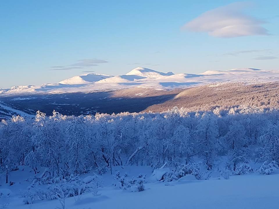 Bruksvallarna - Modern Fjaellstuga Med Panoramautsikt Och Wifi 외부 사진