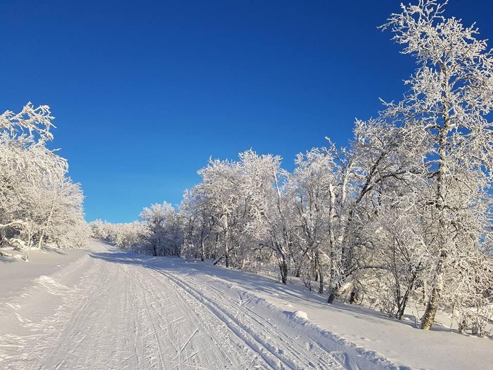 Bruksvallarna - Modern Fjaellstuga Med Panoramautsikt Och Wifi 외부 사진