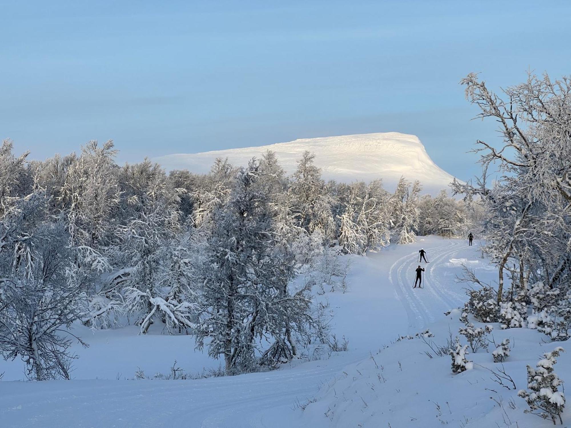 Bruksvallarna - Modern Fjaellstuga Med Panoramautsikt Och Wifi 외부 사진